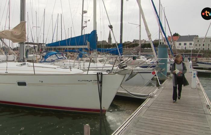 Émissions de carbone, impact sur la faune, le Vendée Globe est-il vert ?