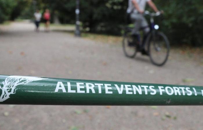 fin de vigilance orange, la Somme repasse en vigilance jaune ce samedi après-midi