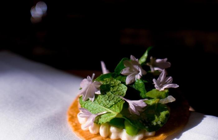 Nouveau restaurant éphémère à Saint-Moritz