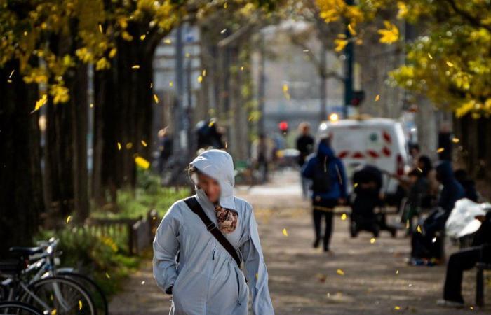 Tempête Darragh, alertes de vents violents et neige verglas, 11 départements en orange… le point sur les prévisions