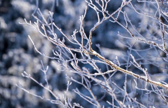 la neige va-t-elle apparaître en Aveyron, en double vigilance jaune ce samedi 7 décembre ? Voici les prévisions