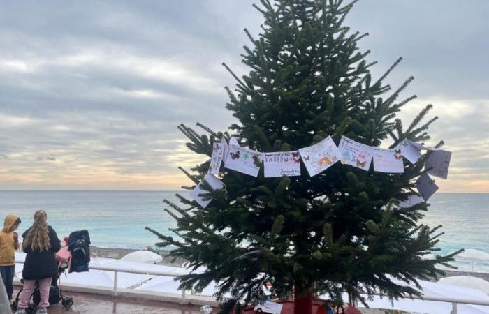 “Une journée historique”, les enfants victimes de l’attentat de Nice reviennent au bal pour décorer le sapin de Noël