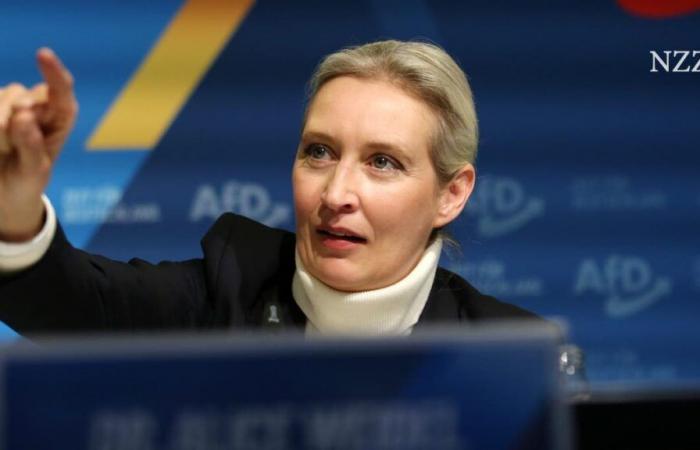 Alice Weidel devient la première candidate de l’AfD à la chancelière