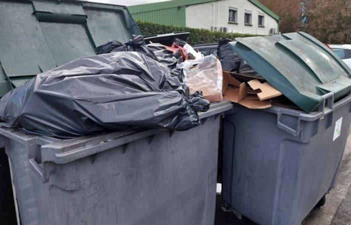 Dans le Morbihan, cette collectivité a réduit ses déchets ménagers de 60%