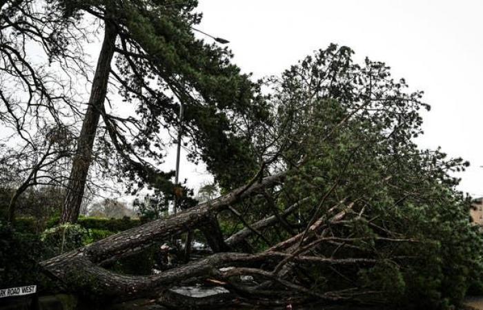 La tempête Darragh devient meurtrière en Angleterre alors que de violentes rafales dépassent les 80 à 90 mph au Royaume-Uni et en Irlande