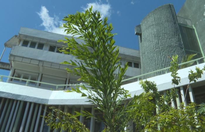 Dépôt des candidatures ouvert pour la Chambre d’Agriculture de La Réunion