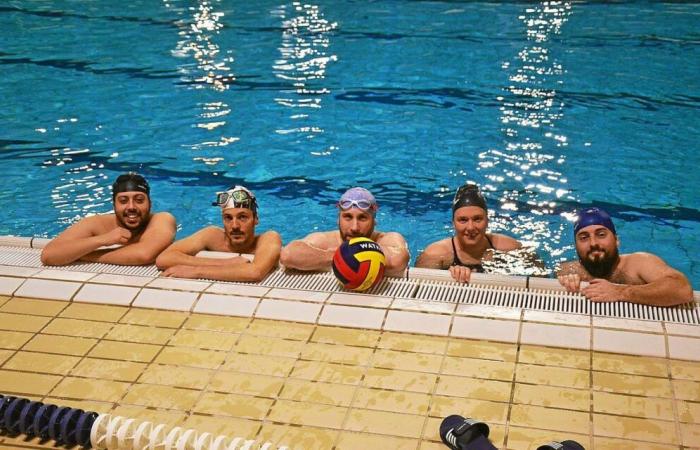 le seul club de water-polo des Côtes-d’Armor s’installe aux Aquatides à Loudéac