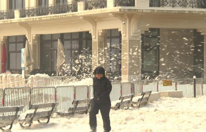 une mousse épaisse recouvre la plage de Biarritz, la vallée d’Ossau sous la neige