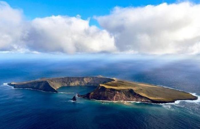 Du Sud Gironde à l’Île Saint-Paul dans l’Océan Indien, un pari réussi pour les frères Lambert