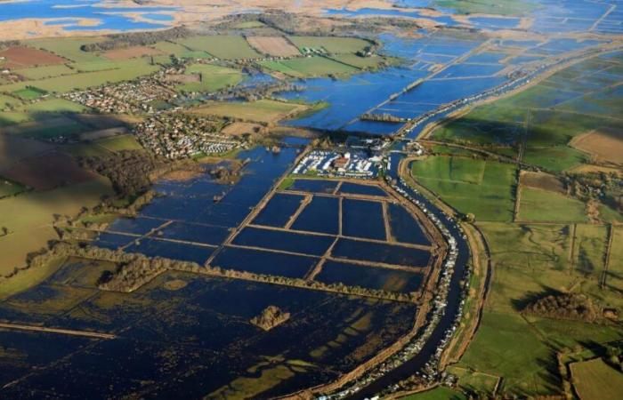 L’Agence pour l’environnement émet des alertes d’inondation à Norfolk