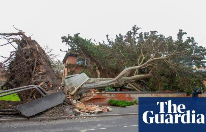 Le nettoyage commence après les dégâts provoqués par la tempête Darragh, qui a fait deux morts