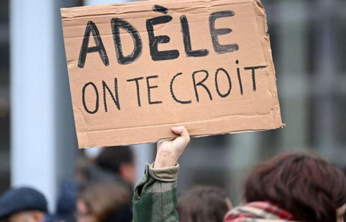 “Vous êtes un grand menteur, Monsieur Ruggia”, déclare Adèle Haenel