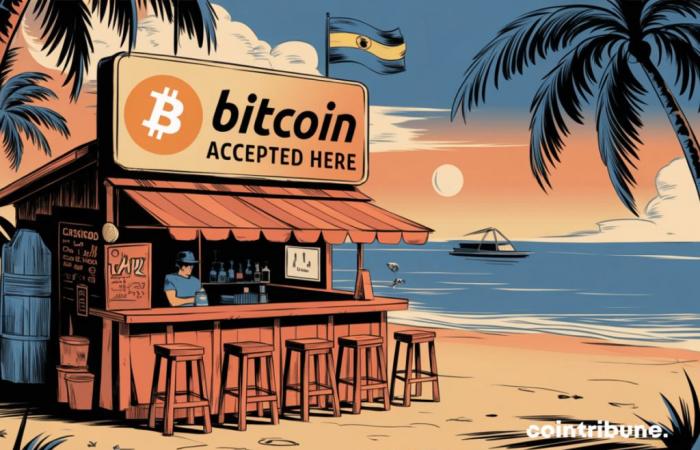 Salvador – L’obligation d’accepter le bitcoin bientôt supprimée ?