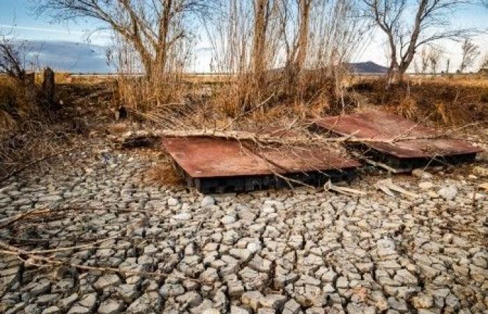 Pourquoi le seuil de réchauffement de 1,5°C est crucial