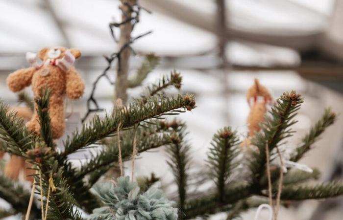 Charles et François du Luxembourg, enthousiasmés par un atelier de Noël solidaire