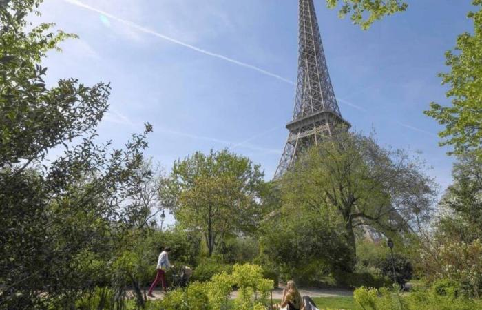 Paris va verdir 120 nouvelles rues en plantant un millier d’arbres face à la canicule