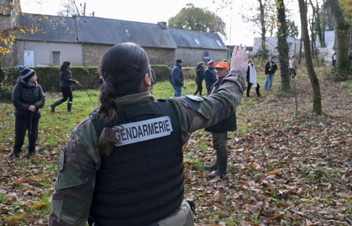 la jeune fille de 13 ans retrouvée vivante dans la Manche