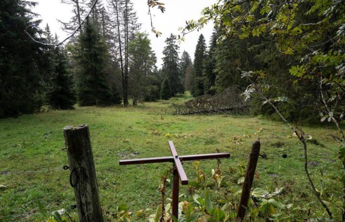 un crédit d’urgence pour les forêts de Sainte-Croix