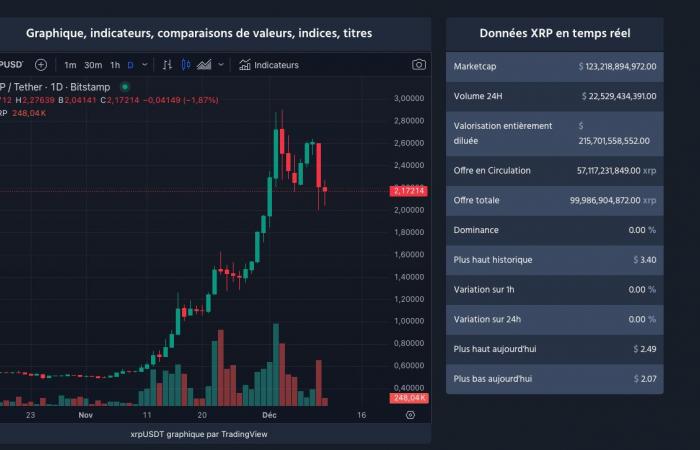 Bitcoin et cryptomonnaies en pleine correction : douche froide pour les investisseurs ?