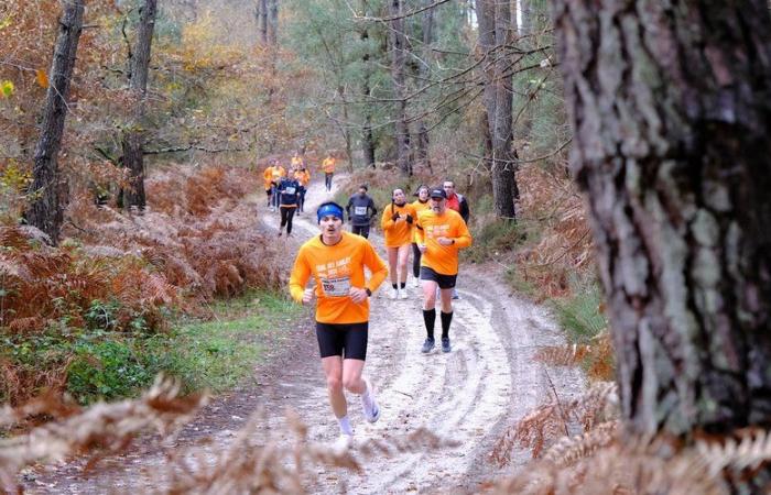 Plus de 700 participants au Trail des Sables de Cauderoue