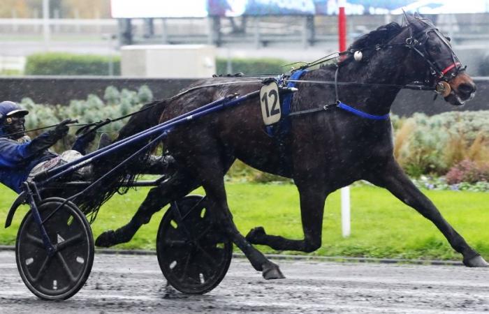 LES COURSES DU MERCREDI À PARIS-VINCENNES