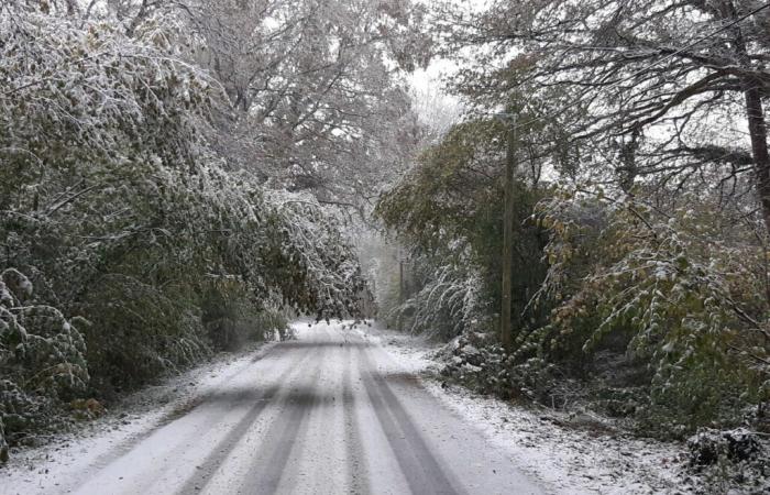 plus de 40 départements en alerte ce mardi