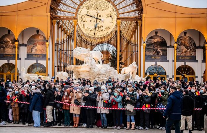 les trois pandas nés en Belgique se rendent en Chine devant un public nombreux