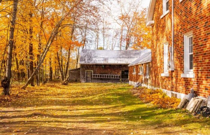 Jolie centenaire à 324 000$ accompagnée d’une grange et d’un poulailler