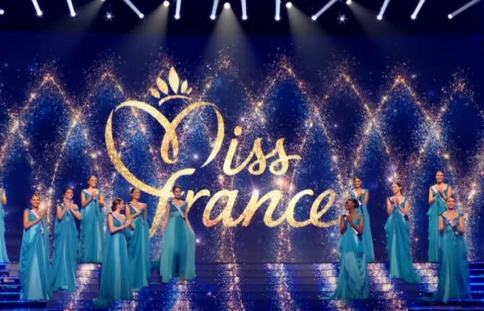 Voici Miss France 2025… selon AI