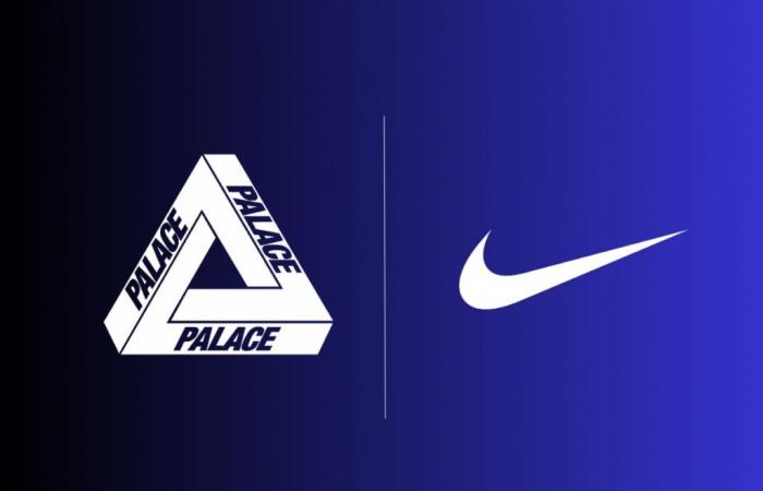 Palace Nike Air Max DN8 sortie en 2025