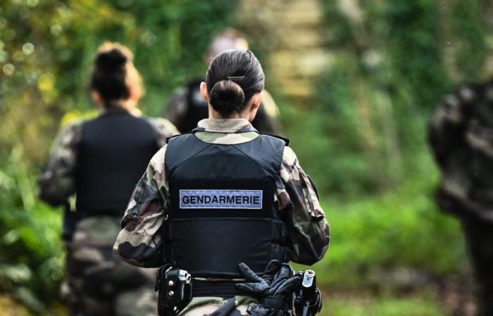 DIRECT. Morgane Rivoal retrouvée vivante à Coutances, un homme de 21 ans placé en garde à vue : suivez les dernières informations