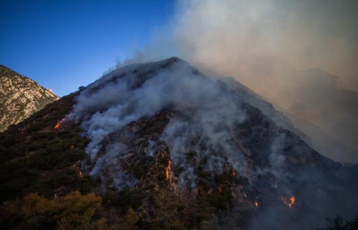 Malibu dévastée par les flammes, des milliers de personnes évacuées