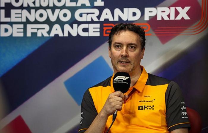 McLaren F1 championne du monde 2024