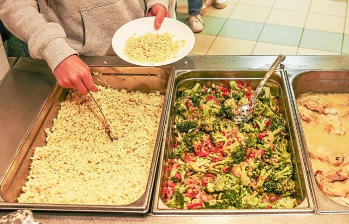 Vers de farine morts trouvés dans des plats servis à l’internat du Pays des Abers, Lannilis