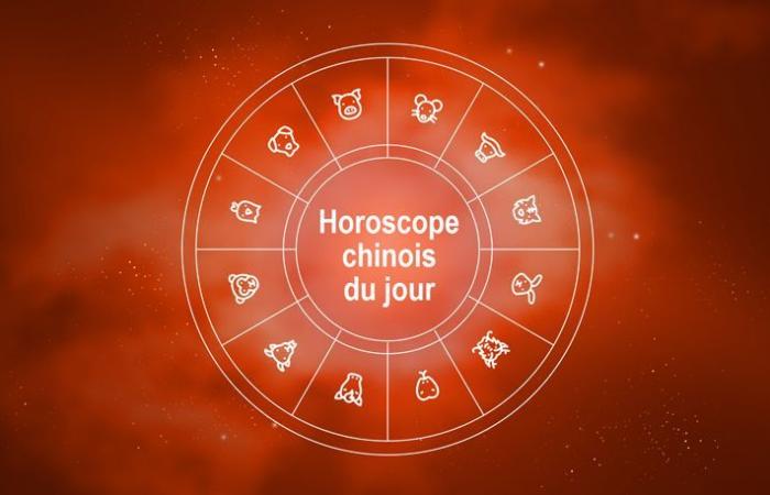 Horoscope chinois du mercredi 11 décembre 2024