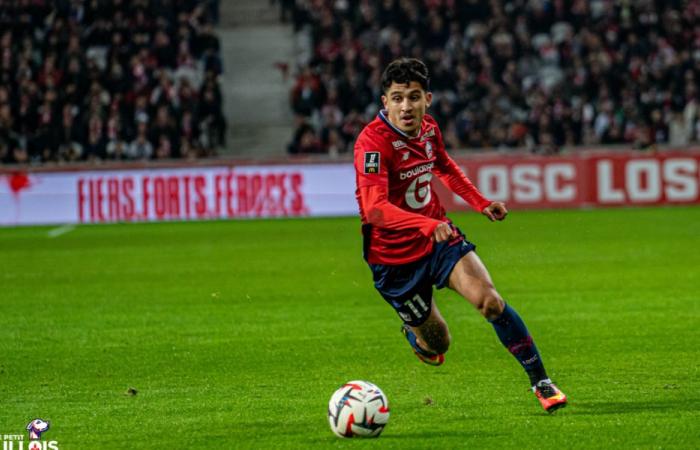 Compositions probables pour LOSC – SK Sturm Graz