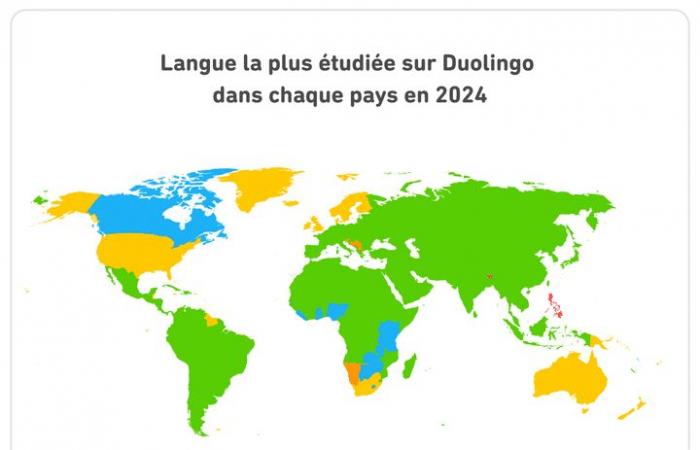 Anglais, espagnol, italien… Quelles langues arriveront en tête en 2024 sur l’application Duolingo ?