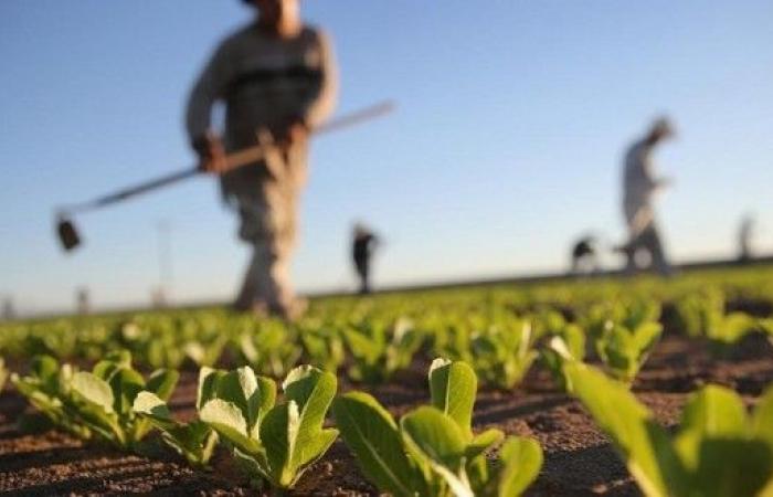 L’OCDE prévoit une accélération de la croissance économique à 4% en 2025 au Maroc – AgriMaroc.ma