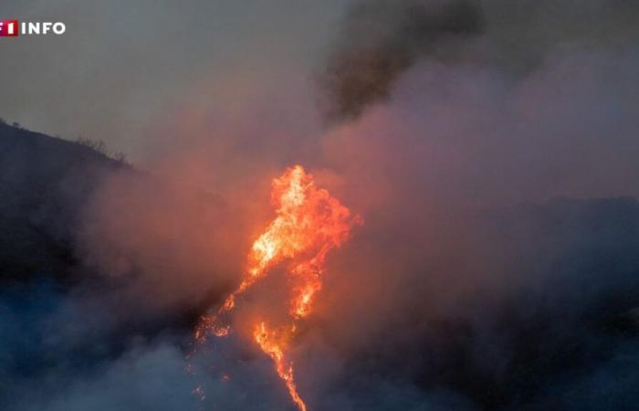 Malibu dévastée par les flammes, des milliers de personnes évacuées