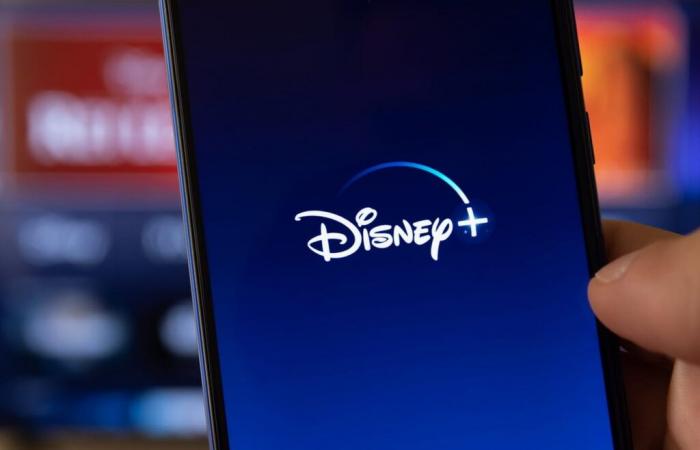 Voici combien vous devez payer pour partager votre compte Disney+