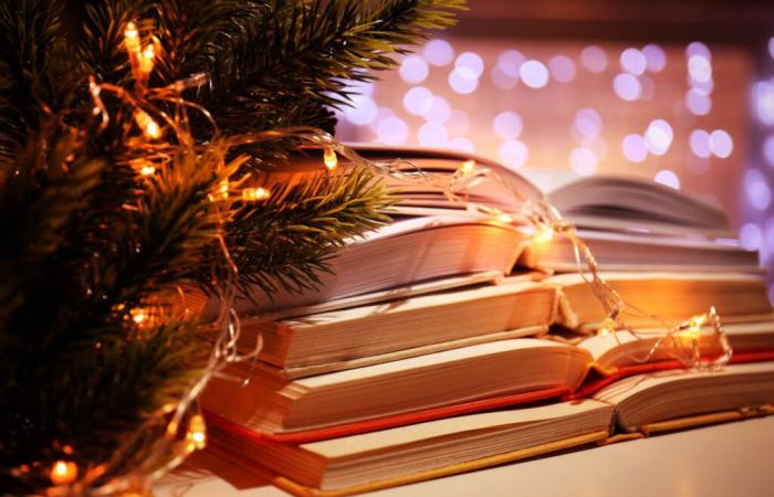 5 livres à glisser sous le sapin pour les fêtes • L’Éventail