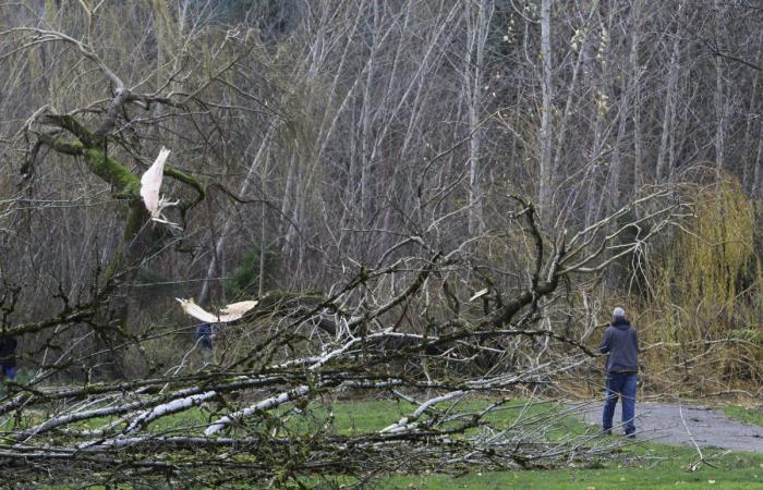 Menace de cyclone à la bombe sur la côte Est, pannes de courant possibles