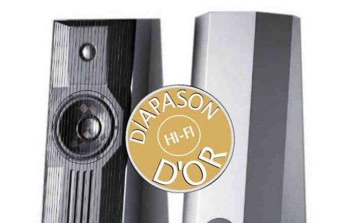 Diapason Or 2023 : Enceintes GRYPHON EOS 2