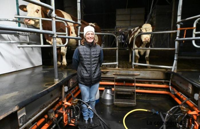 Six fois moins de producteurs de lait en Haute-Loire en quarante ans