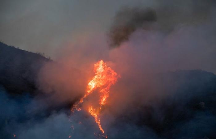 Malibu dévastée par les flammes, des milliers de personnes évacuées