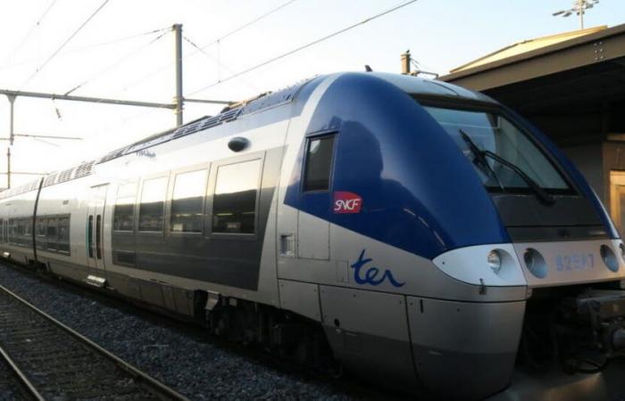 Haute Savoie. Une adolescente agressée sexuellement dans un train par un homme ivre