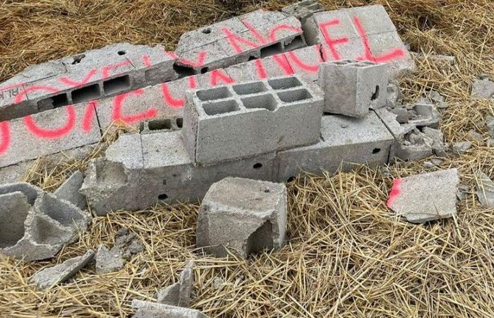 Le Camélat des JA 47 et FDSEA 47 vandalisé, « Nus et culottés » à Agen, Waly’Noël… Le Lot-et-Garonne en bref