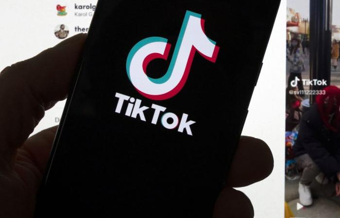 TikTok conteste l’ordre d’Ottawa de cesser ses activités au Canada