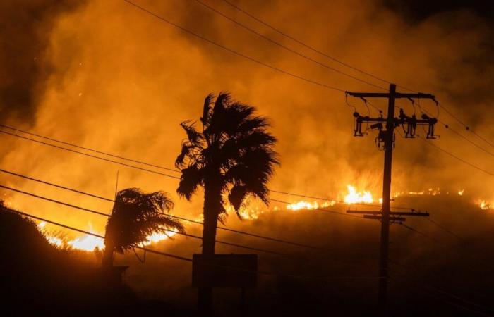 Dick Van Dyke parmi les stars forcées de fuir les incendies de forêt du sud de la Californie