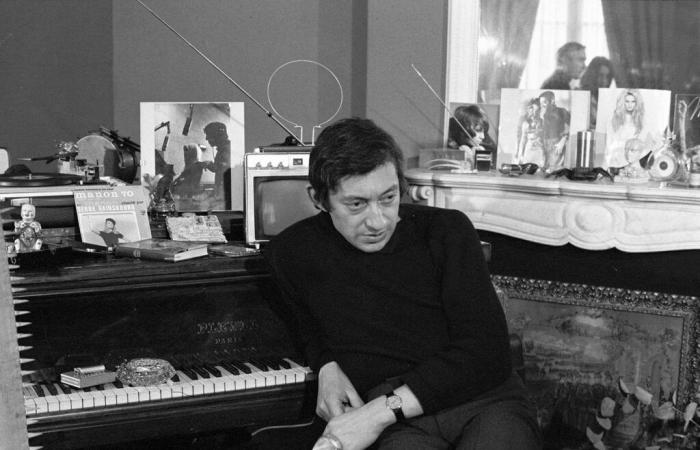 Dans la discothèque de Serge Gainsbourg de Stéphane Girel et Christophe Geudin